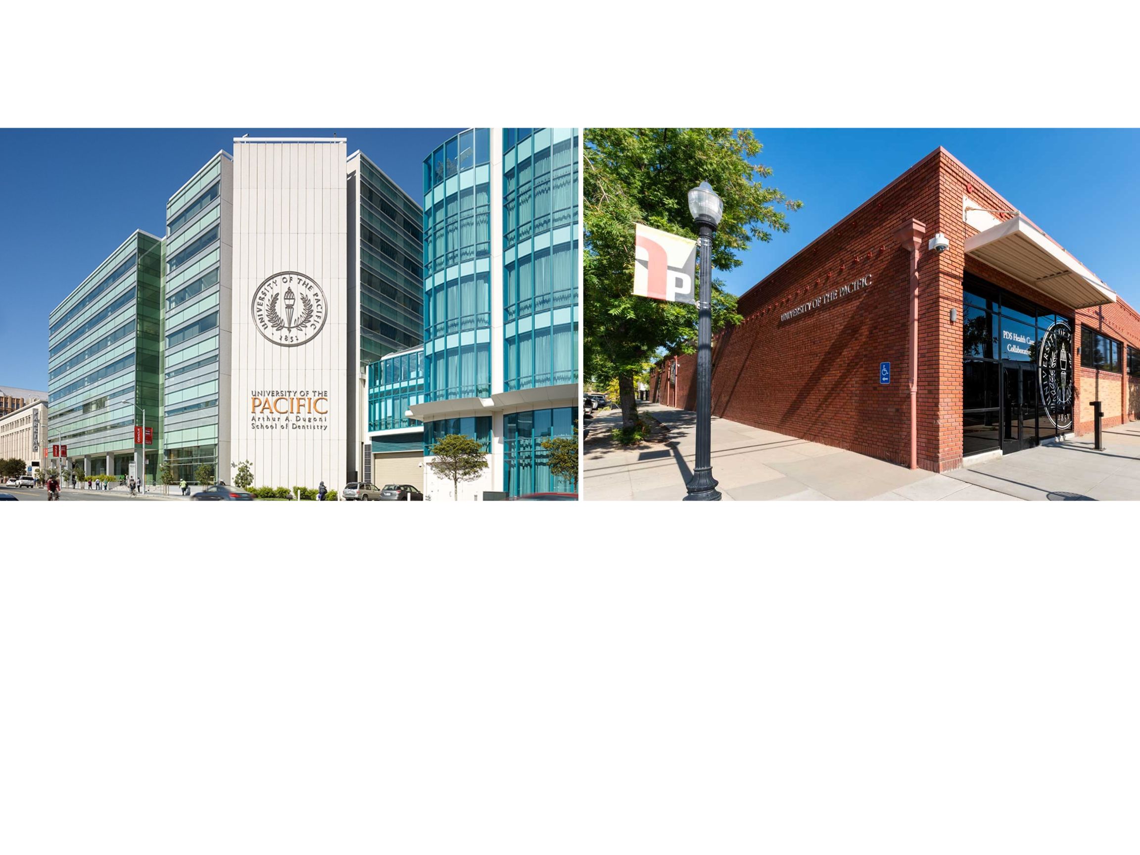 International Dental Studies