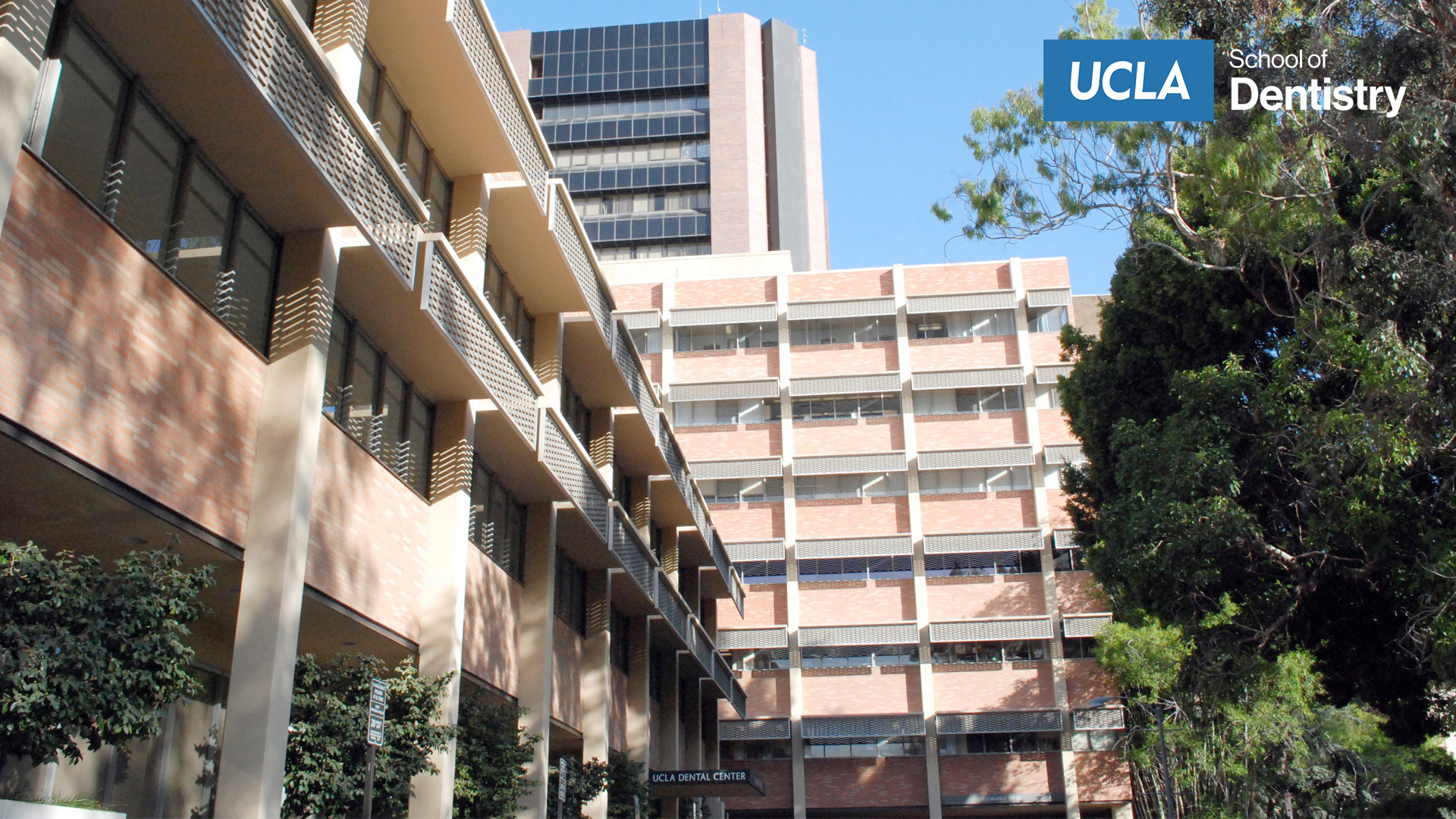 Logo for University of California, Los Angeles