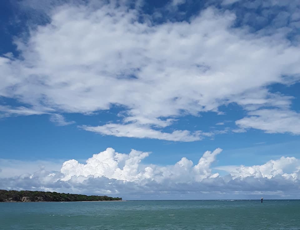 Logo for Bravery University